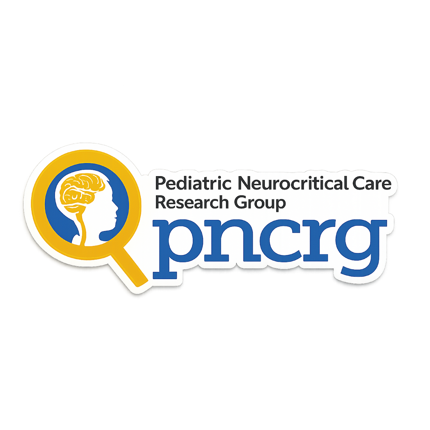 Die-Cut 3M Vinyl PNCRG Decal